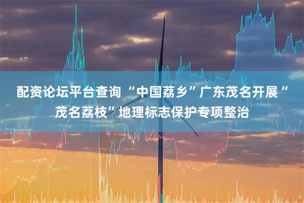 配资论坛平台查询 “中国荔乡”广东茂名开展“茂名荔枝”地理标志保护专项整治